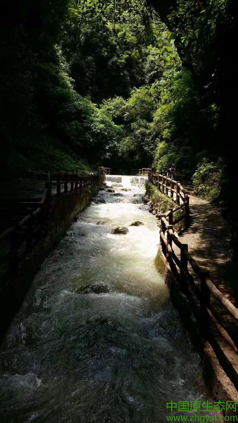 贵阳巴喇谷,一个原生态生活的示范基地